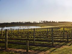 Point_Leo_101017_000106