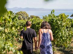 Walking winery potrait