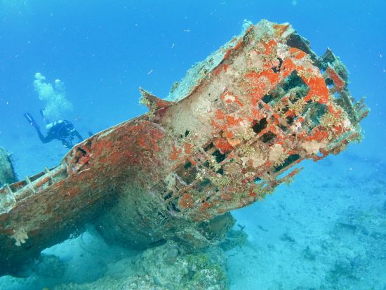 【プライベート】ファンダイビング　沈船など水中の戦跡を潜るレックスペシャルプランあり！＜午前 or 午後／ボート・2ダイブ＞by アクアアカデミー