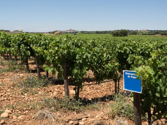 コート・ド・プロヴァンス　ワイナリー2軒＋ル・トロネ修道院＋サント・ロズリン礼拝堂＜3月～10月／日本語ガイド／ニース発着＞