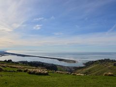 DSC_6915