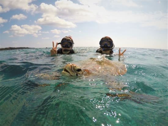 シュノーケリングツアー その日のベストスポットにご案内 Gopro写真付 宮古島 Byグラッツサップ 宮古島の観光 オプショナルツアー専門 Veltra ベルトラ