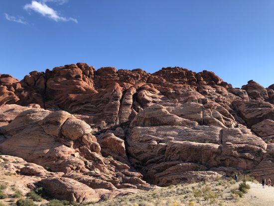 レッドロックキャニオン 半日観光ツアー クラフトマウンテンをハイキング＆トレーダージョーズでのショッピングタイムあり＜午前発／昼食付き／日本語ガイド＞