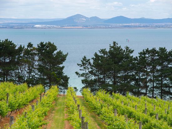 Views from Jack Rabbit Winery