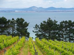 Views from Jack Rabbit Winery