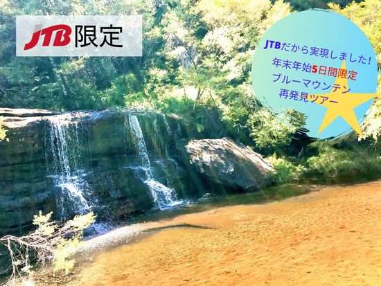 年末年始5日間限定