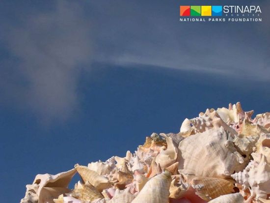 ワシントンパークツアー＜英語ガイド／ボネール発＞