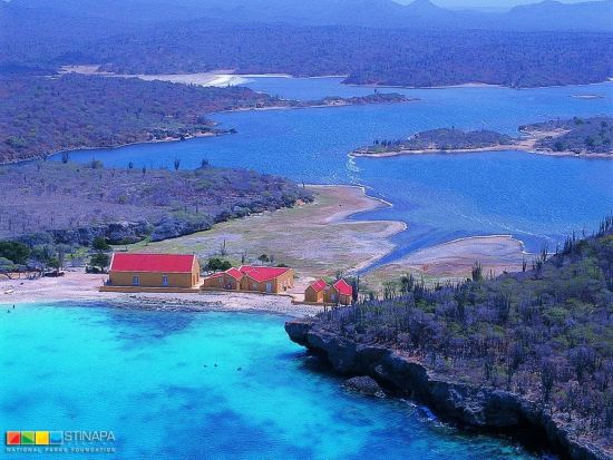 ワシントンパークツアー＜英語ガイド／ボネール発＞