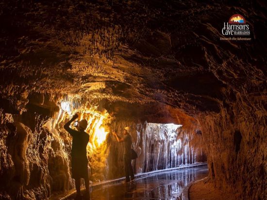 バルバドス　ハリソンズ洞窟＆ビーチツアー＜英語ガイド／バルバドス発＞