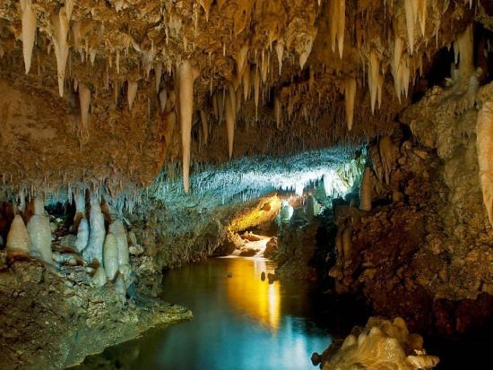 バルバドス　ハリソンズ洞窟ツアー＜英語ガイド／バルバドス発＞