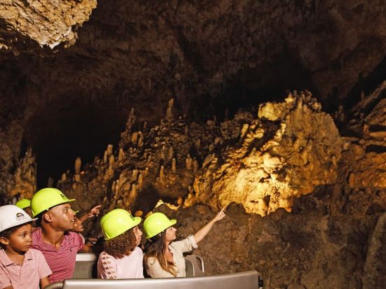バルバドス　ハリソンズ洞窟ツアー＜英語ガイド／バルバドス発＞