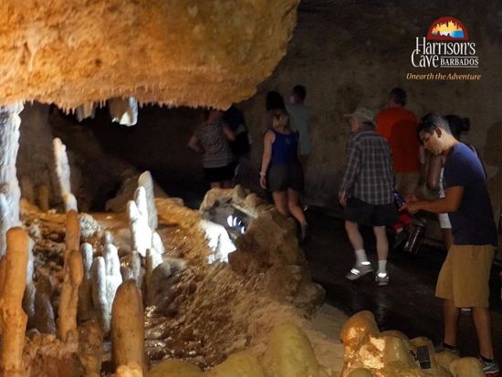 バルバドス　ハリソンズ洞窟ツアー＜英語ガイド／バルバドス発＞