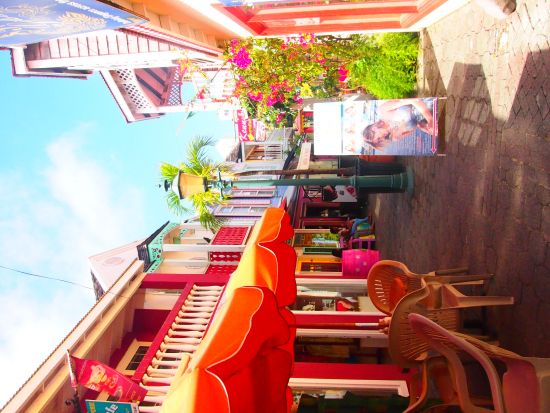 セントマーチン観光ツアー＜英語ガイド／セントマーチン発＞