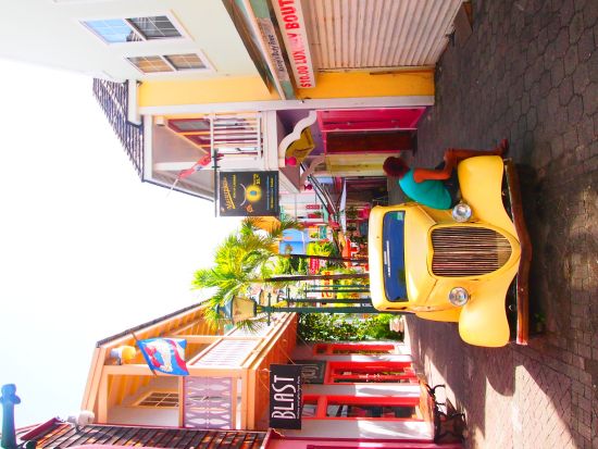 セントマーチン観光ツアー＜英語ガイド／セントマーチン発＞