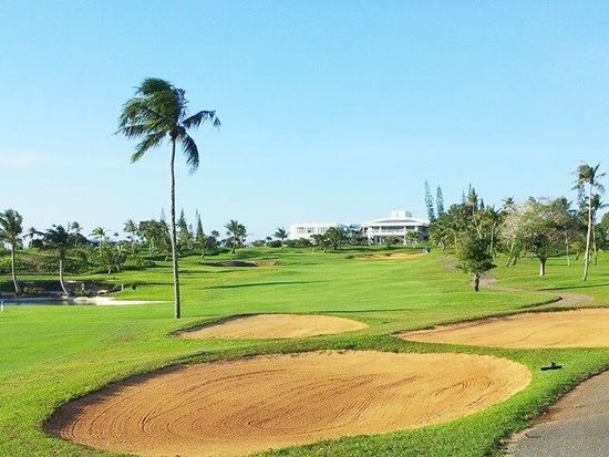 20170816061211_1496976151_13558_0_edited