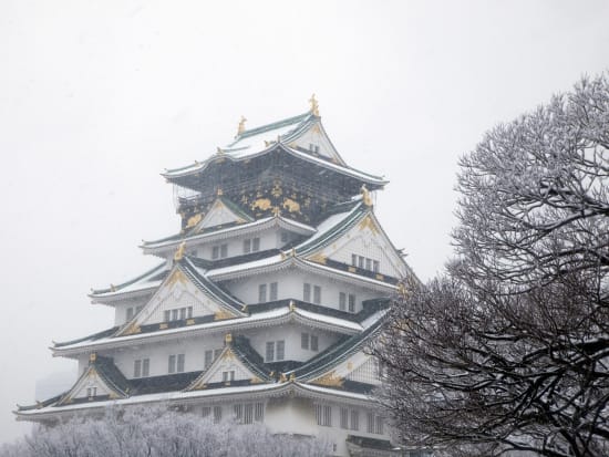 Osaka Castle, Japan, Snow