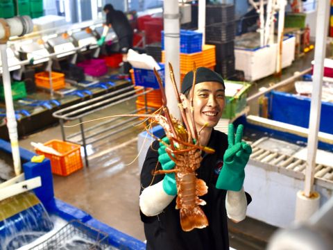 ピナクルズ＆ランセリン砂丘 1日ツアー★オーストラリアの動物と大自然を満喫＜英語／昼食付／パース発着＞