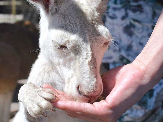 20190102055135_225274183_0