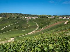 FBT-D2 - Hautvillers Shutterstock-