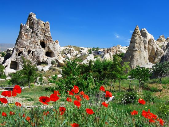 世界遺産カッパドキア 1泊2日ツアー　王道観光＋ローズバレー＋ワイナリー　洞窟ホテル泊　気球付きプランあり＜貸切／日本語ガイド／国内航空券込／イスタンブール発＞