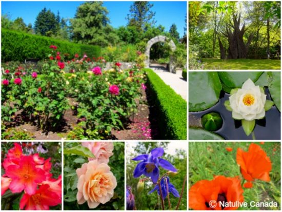 バンクーバー　貸切観光チャーター ＜3時間／日本語ドライバーガイド＞