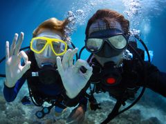 shutterstock_127605290_edited