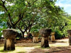 shutterstock_1332918179_edited