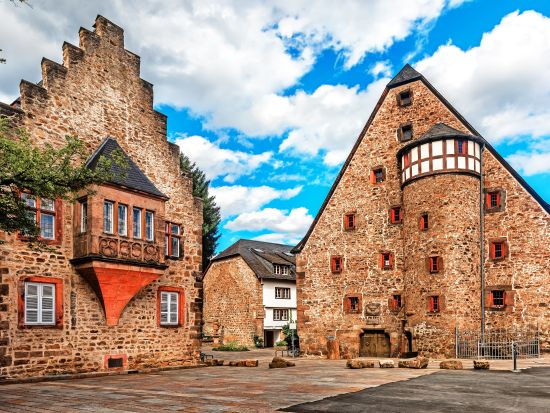 【プライベートツアー】好みの街が選べる！ベテランガイドと巡る フランクフルト近郊都市6時間観光ツアー＜日本語／フランクフルト発＞ by Mybus