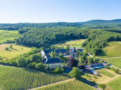 Rhinegau_Schloss Vollrads_shutterstock_1480106249