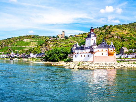 【プライベートツアー】世界遺産ライン川と古城ワイナリー＜車＋ドライバーガイド貸切／日本語／フランクフルト発＞ by [みゅう]
