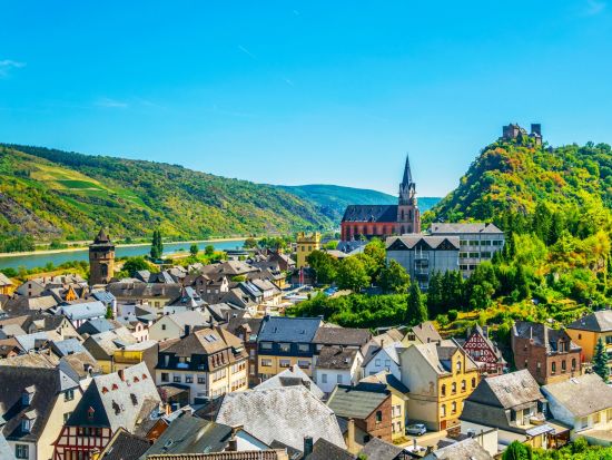 【プライベートツアー】世界遺産ライン川と古城ワイナリー＜車＋ドライバーガイド貸切／日本語／フランクフルト発＞ by [みゅう]