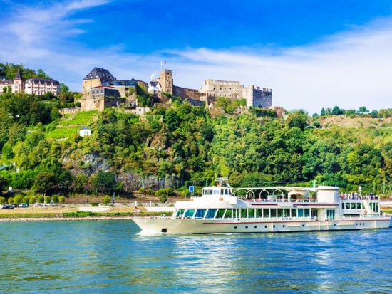 【プライベートツアー】世界遺産ライン川と古城ワイナリー＜車＋ドライバーガイド貸切／日本語／フランクフルト発＞ by [みゅう]