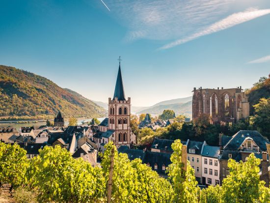 【プライベートツアー】世界遺産ライン川と古城ワイナリー＜車＋ドライバーガイド貸切／日本語／フランクフルト発＞ by [みゅう]