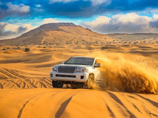 UAE Dubai Desert Safari Sand Dune
