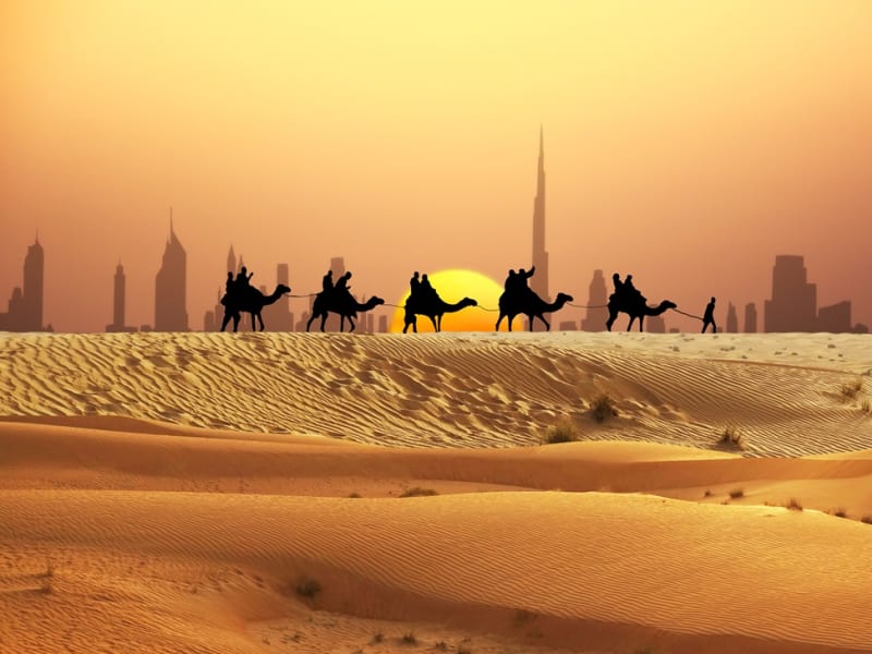 UAE Dubai Desert Sunset Camel Ride