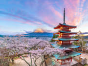 Japan_Yamanashi_Chureito_Fuji_cherry blossom_shutterstock_1303368373