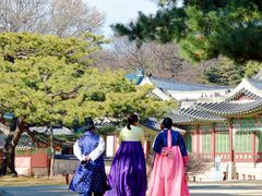 Changdeokgung Palace with Hanbok Wearing (2)