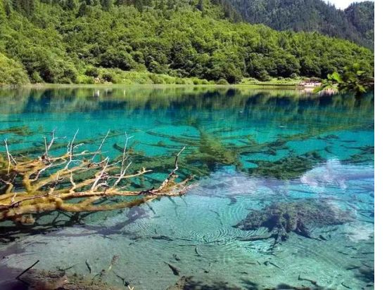 【九寨溝黄龍空港発着・2泊3日】終日観光で九寨溝をたっぷり満喫！九寨溝＋黄龍 宿泊ツアー *選べるホテルランク＜専用車＋専属日本語ガイド／食事付＞