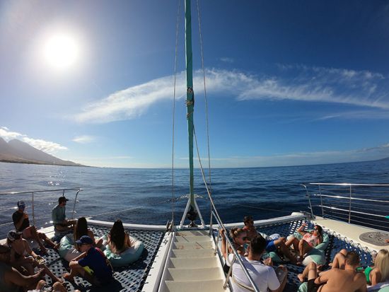 シュノーケリングクルーズ　西マウイの美しい海でクルージング＆シュノーケリング！オープンバーでの飲み放題付き♪＜軽食付き／午後／4～12月／英語ガイド＞