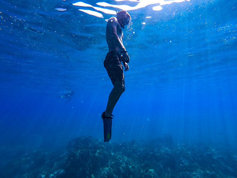 Sea Maui Kaanapali Snorkel Cruise with Open Bar [Open Now] tours