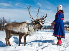 reindeer farm norway