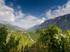 Rhone Valley Provence