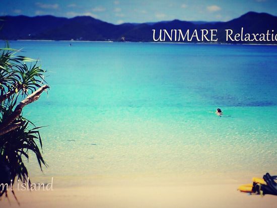 529B4DAF-FC97-4346-9F44-732367AE26CB