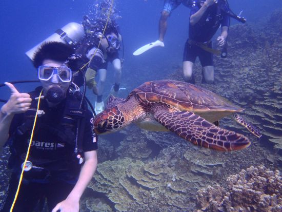 体験ダイビング 初心者歓迎！1ダイブでも海中世界を充分に楽しめる40分♪＜ビーチ／1ダイブ＞ by レッツダイブグアム