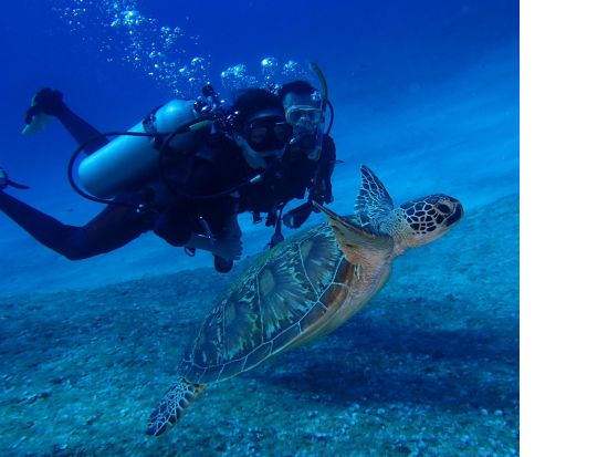 体験ダイビング 初心者歓迎！1ダイブでも海中世界を充分に楽しめる40分♪＜ビーチ／1ダイブ＞ by レッツダイブグアム