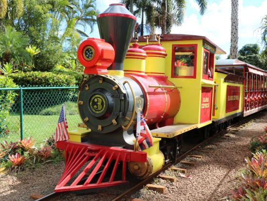 ノースショア（ハレイワ）貸切チャーター　乗馬や四輪バギーなどノースショアでの各種アクティビティもご用意！＜1～25名／6～10時間／日本語ガイド＞