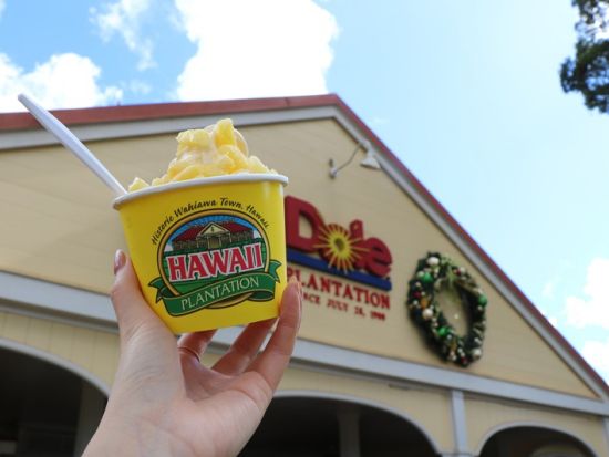 ノースショア（ハレイワ）観光往復シャトルサービス　ドール立ち寄りとハレイワで3時間の自由散策＜1日／日本語ガイド＞