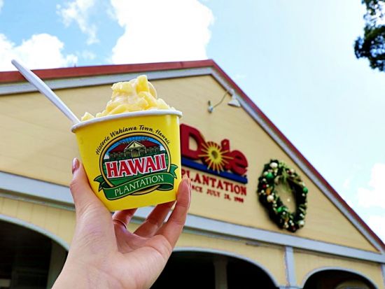 バンまたはミニバス貸切チャーター　ドール・パイナップル農園工場見学＆ハレイワタウン自由散策ツアー　パイナップルのお土産付き＜10名～／日本語ガイド付き＞