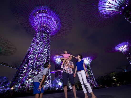 シンガポール夜景ツアー　ガーデンズ・バイ・ザ・ベイ＆マリーナベイサンズの光と音のショー＋リバークルーズ 　ジャンボのチリクラブプラン選択可＜日本語ガイド＞