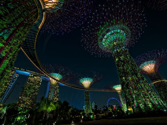 シンガポール夜景ツアー マーライオン＆リバークルーズ乗船＆ガーデンラプソディ＜日本語ガイド＞